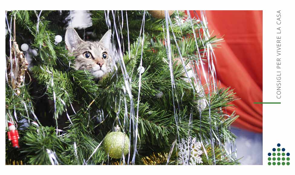 Casa a misura di gatto per vivere un Natale tranquillo